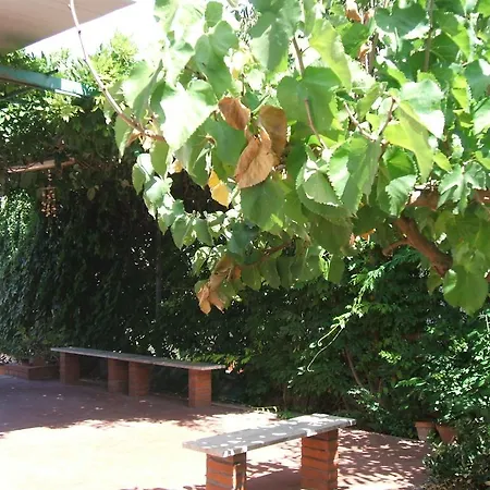 Aliotis Vila Alcamo Marina