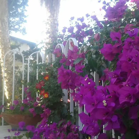 Villa Aliotis Alcamo Marina