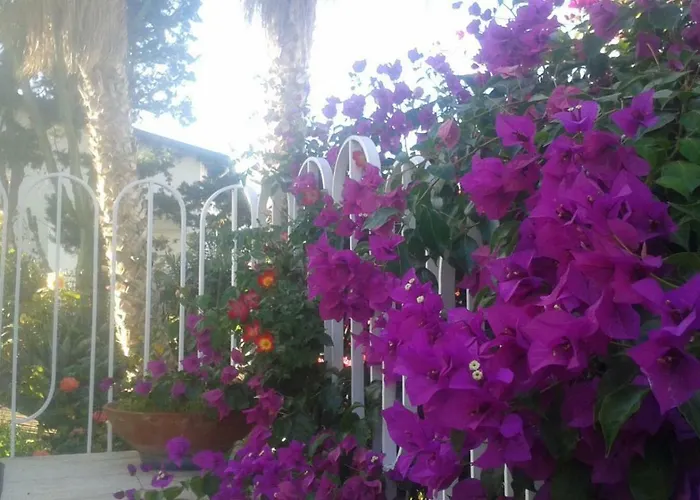 Villa Aliotis Alcamo Marina